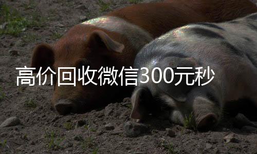 高价回收微信300回收微信号官网元秒结（高价回收vx300元秒结）